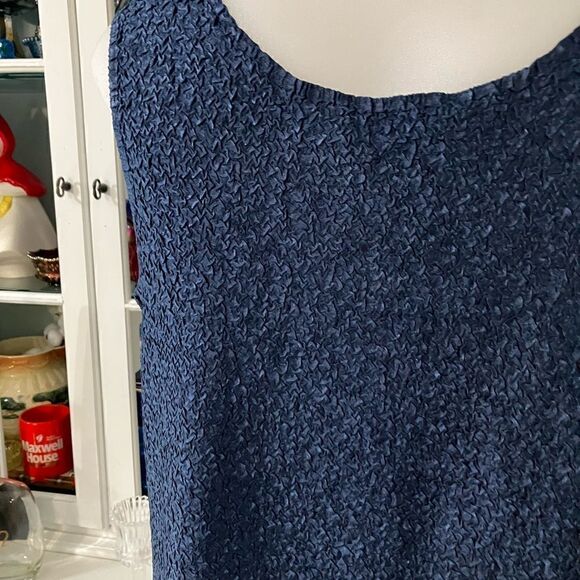 Draper’s & Damon’s Sleeveless Shell Silver and Blue Sz PS - Picture 6 of 8